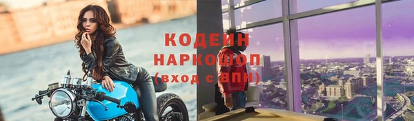 прущие грибы Липки