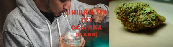 прущие грибы Липки