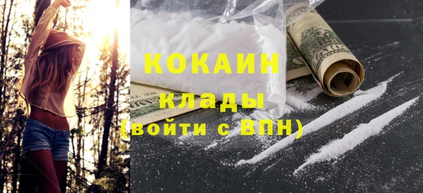 прущие грибы Липки