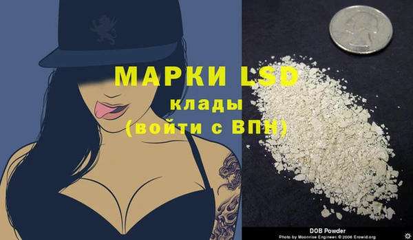 прущие грибы Липки