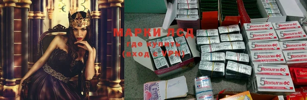 прущие грибы Липки